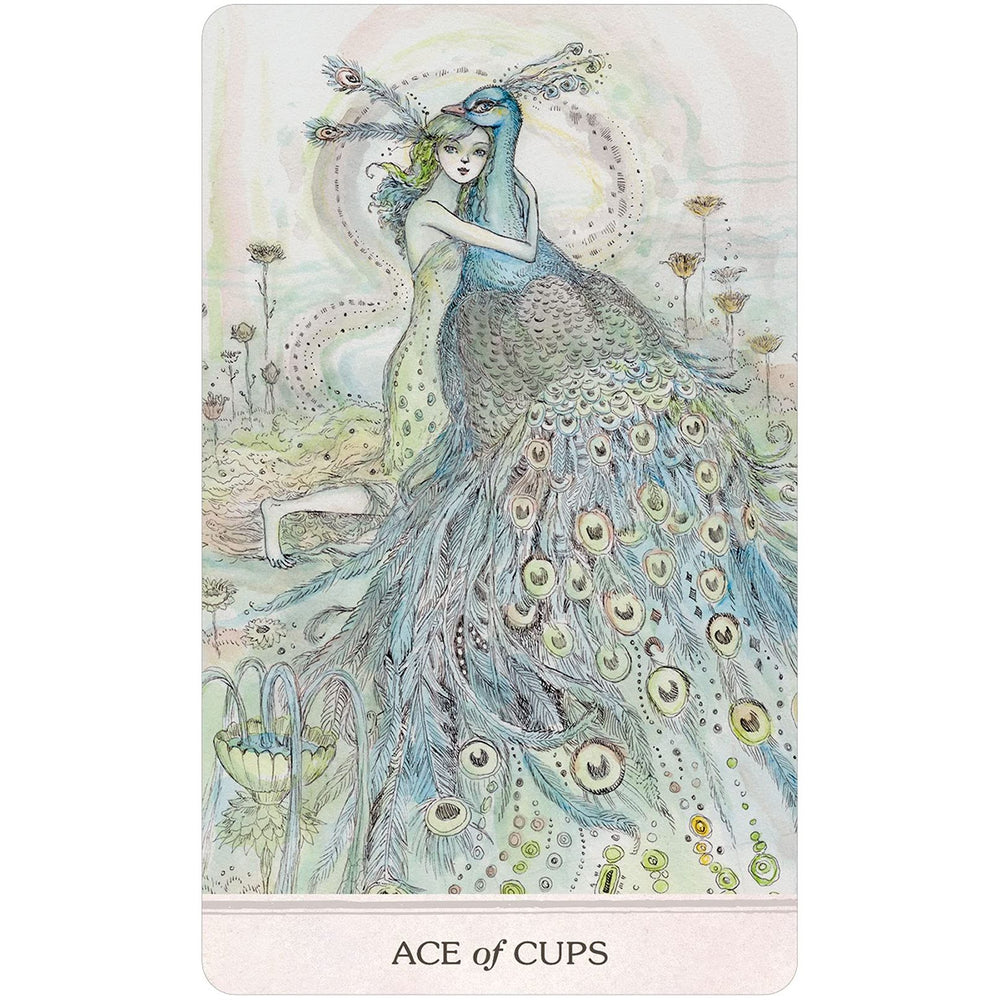 Ace of Cups