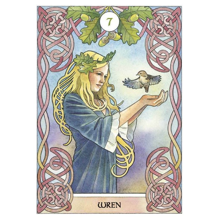 Celtic Astrology Card Wren